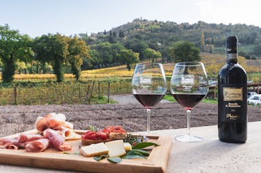 Visite de l’après-midi à Montalcino et Bagno Vignoni avec dégustation de vin